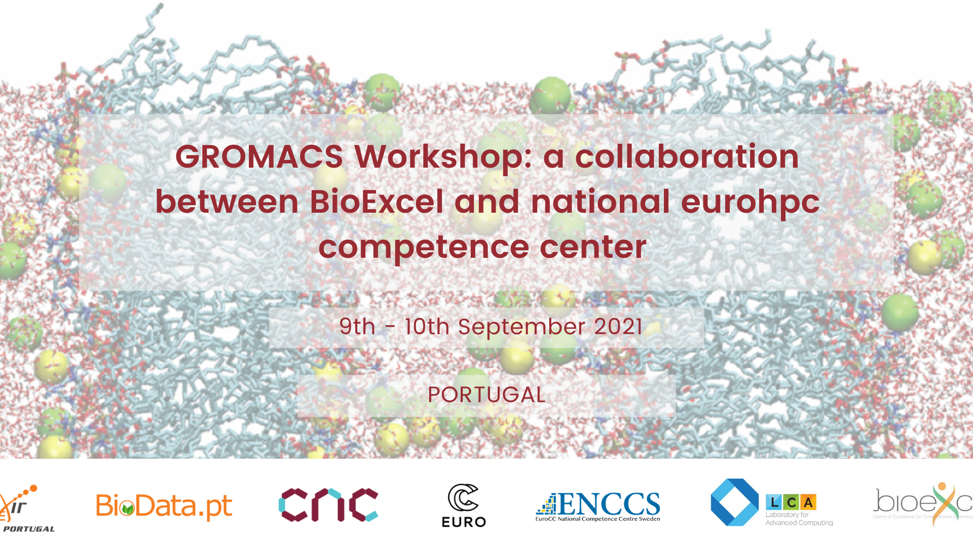 GROMACS Workshop: a collaboration between BioExcel and national eurohpc competence center