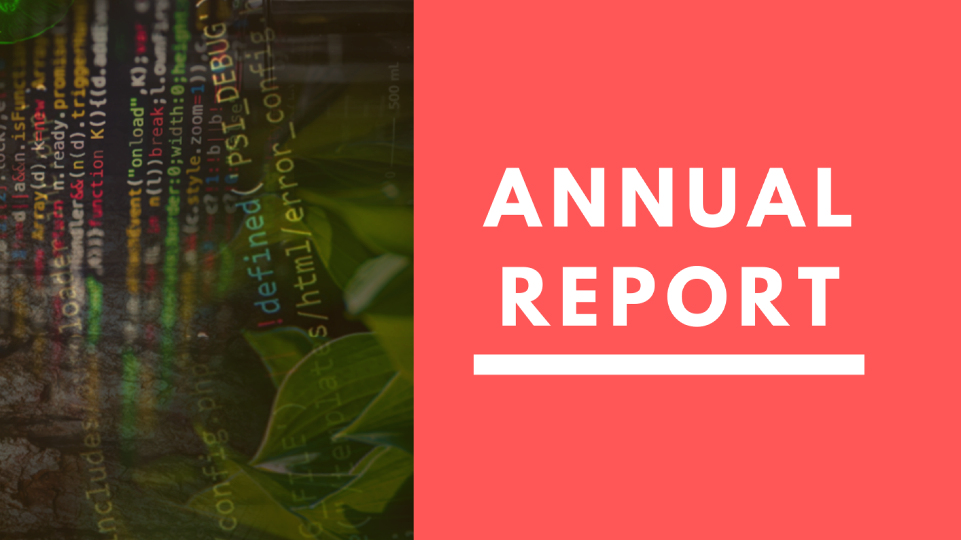 Annual Report 2020