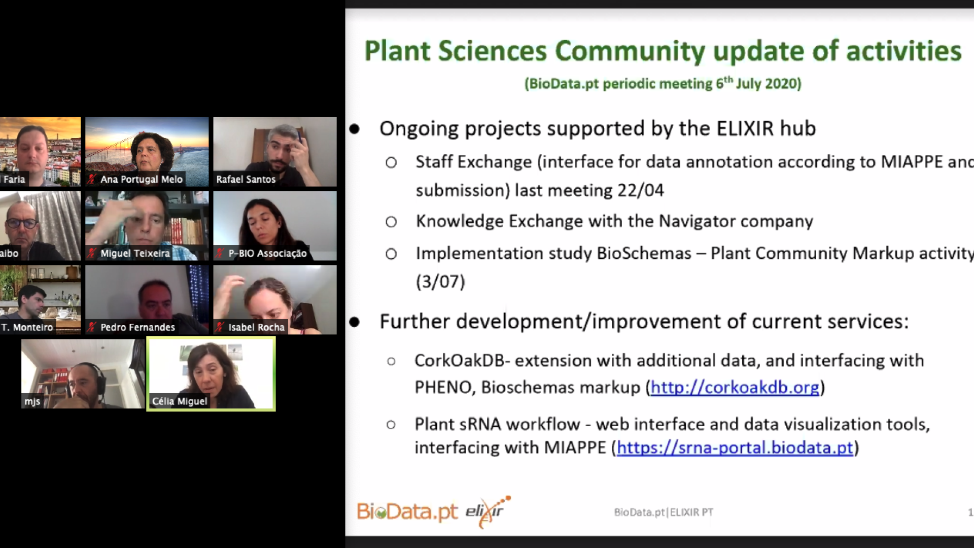 Plant Sciences Community update of activities