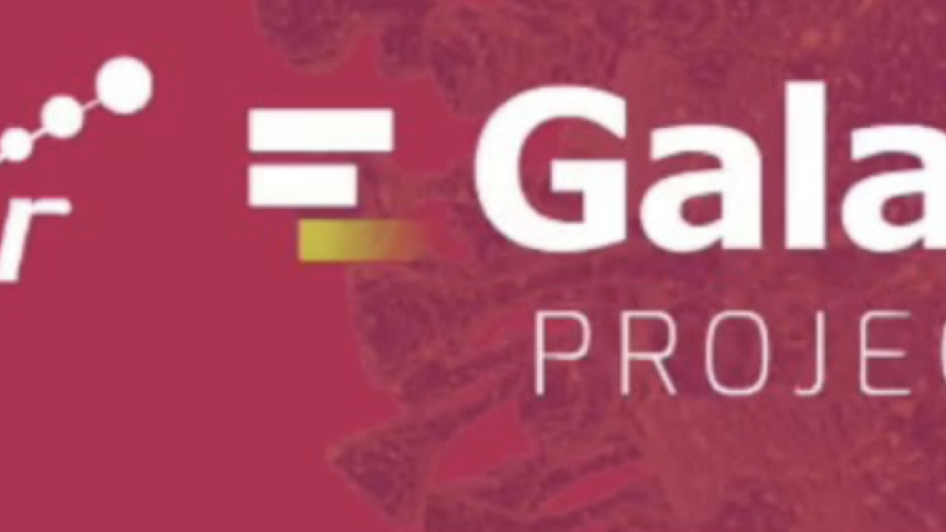 ELIXIR Galaxy Project