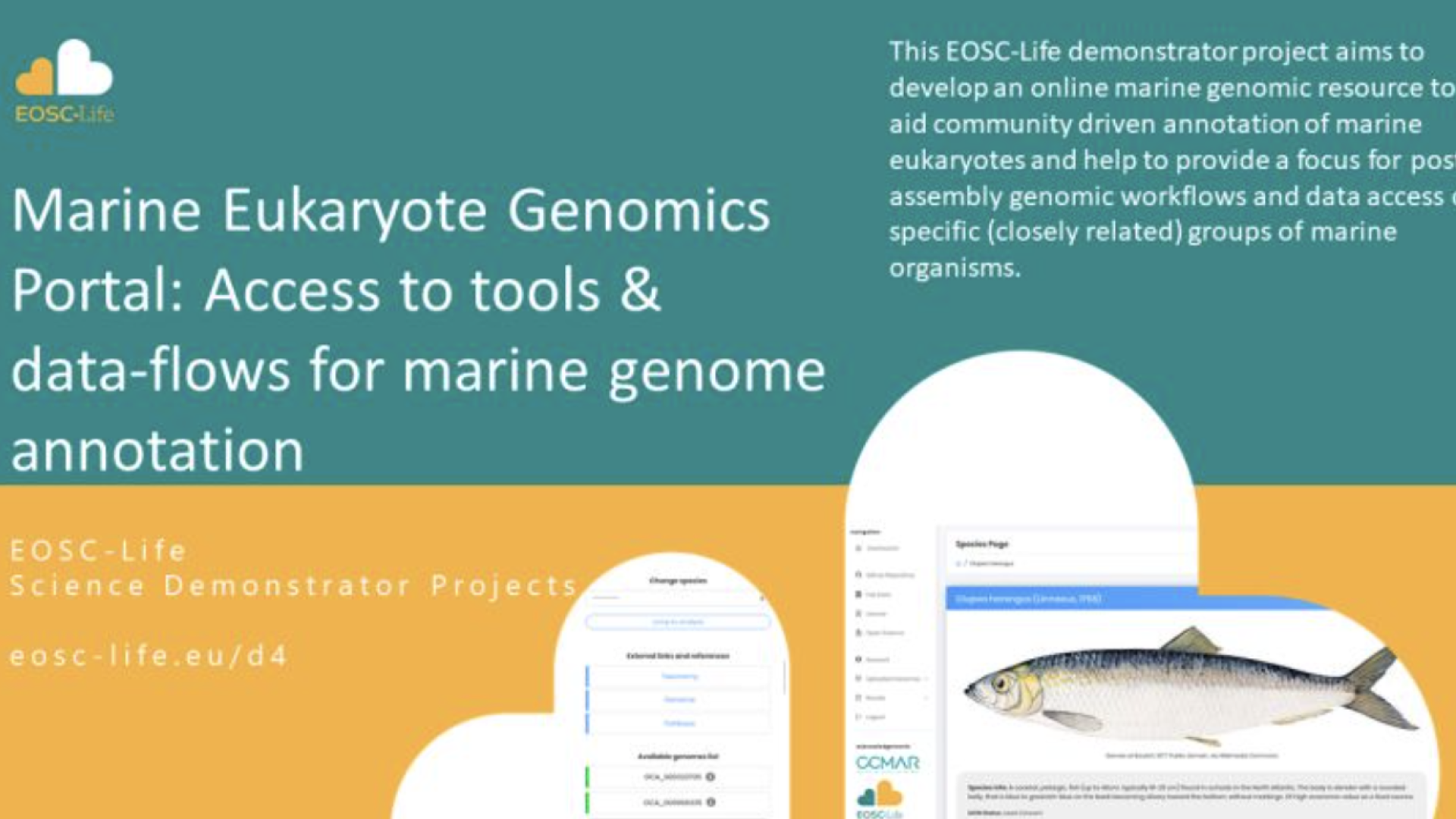 Marine Eukaryote Genomics Portal: Access to tools & data-flows for marine genome