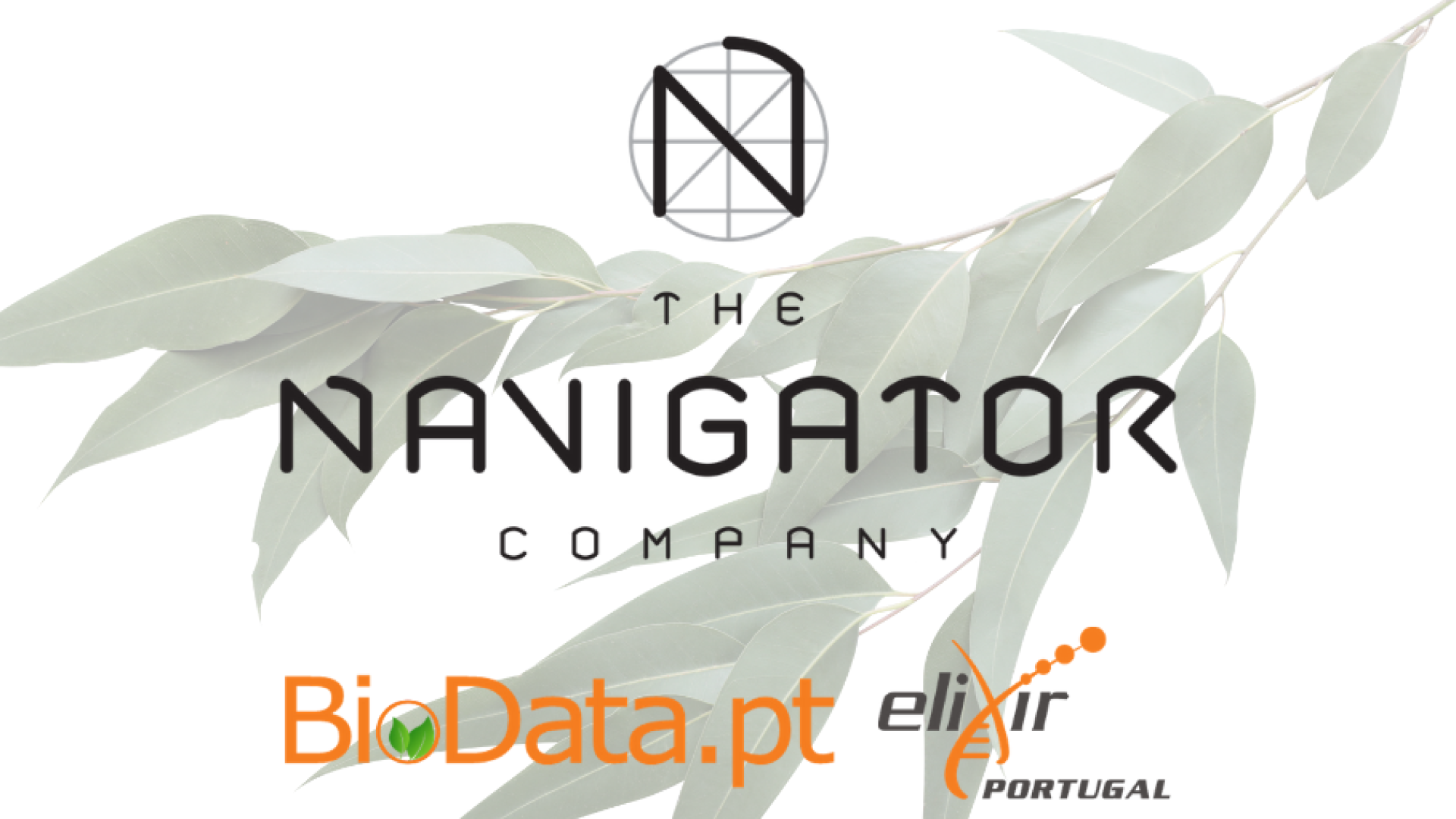 The Navigator Company