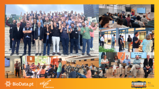 Montage of photos from the BioData.pt | ELIXIR Portugal All Hands 2024 meeting. One photo is a group photo of people putting their hands up.
