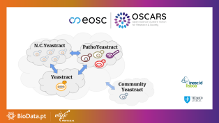 YEASTRACT project network showing connections between N.C.Yeast, PathoYeast, and Community Yeast components. Supported by EOSC OSCARS, BioData.pt, and Portuguese research institutions