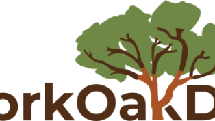 CorkOakDB