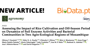 New article!