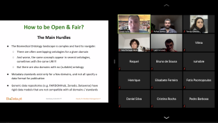 Online meeting for workshop