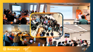 BioData.pt hosts the ELIXIR Node Triangle Co-located Meeting in Lisbon, March 2025, featuring collaborative sessions with Node, Training, and Technical Coordinators from across Europe.