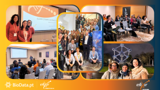 BioData.pt co-led discussions at the ELIXIR-STEERS WP4 and General Assembly meetings in Brussels, driving efforts to empower Node staff with key skills and resources.