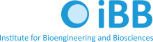 iBB Logo