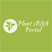 Plant sRNA Portal logo