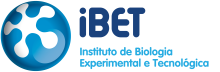 iBET logo