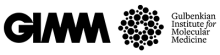 GIMM Gulbenkian Institute for Molecular Medicine