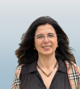 Professor Ana Teresa Freitas