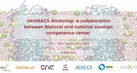 GROMACS Workshop: a collaboration between BioExcel and national eurohpc competence center